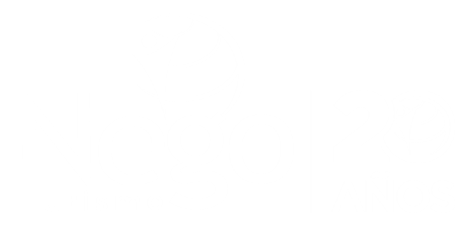 logo-custom1